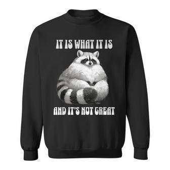 It Is What It Is And Its Not Great Racoon Vintage Meme Sweatshirt - Monsterry DE