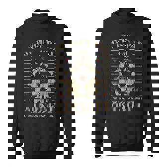 Je Peux Pas J'ai Airsoft Homme Humour Sweater e - Cadeauxyz