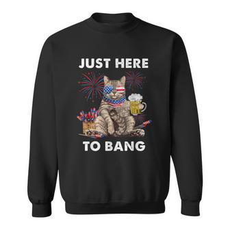 Just Here To Bang Usa Flag Beer 4Th Of July Cat Lover Sweatshirt - Monsterry DE