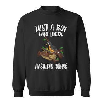 Just A Boy Who Loves American Robins Birds Sweatshirt - Monsterry CA