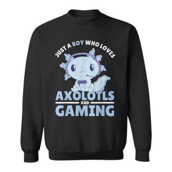 Just A Boy Who Loves Axolotls And Gaming Sweatshirt - Thegiftio UK