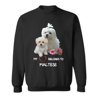 Maltese Dog Heart Belongs Maltese Puppy Sweatshirt | Mazezy