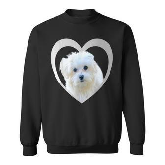 Maltese Maltese Dog Maltese Sweatshirt - Seseable