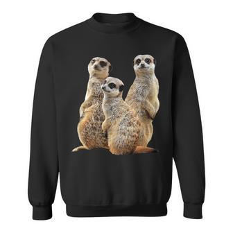 Meerkat On Safari In Africa Sweatshirt - Geschenkecke