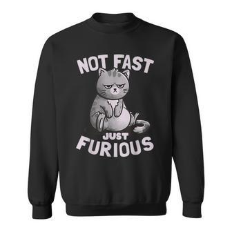 Not Fast Just Furious Cute Cat Sweatshirt - Monsterry CA