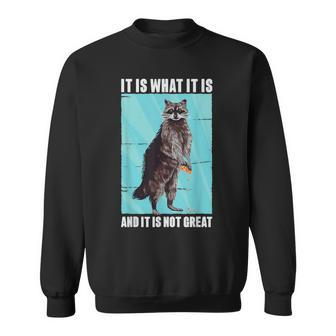 It Is What It Is And It Is Not Great Raccoon Meme Sweatshirt - Monsterry