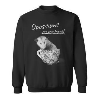 Opossums Are Your Friends Sweatshirt - Monsterry AU