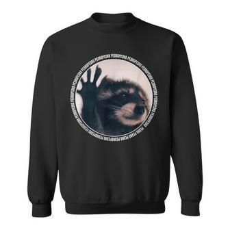 Pedro Raccoon Dancing Meme Sweatshirt - Monsterry