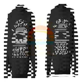 I Like Pigs And Maybe Like 3 People Pig Lover Sweatshirt | Mazezy