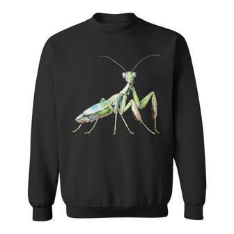 Praying Mantis Insect Catcher Insect Collector Entomology Sweatshirt - Thegiftio UK