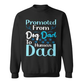 Promoted From Dog Dad To Human Dad Father's Day Sweatshirt - Monsterry