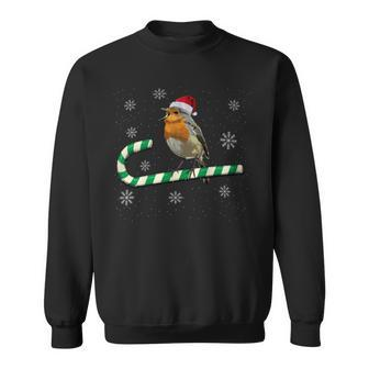 Robin Bird Watching Redbreast Birding Christmas Sweatshirt - Monsterry UK