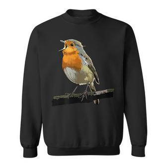 Robin Bird Watching Redbreast Birding Sweatshirt - Thegiftio UK