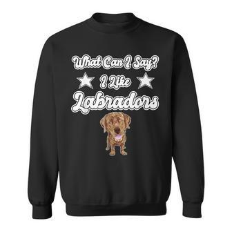 What Can I Say I Like Labradors Chocolate Lab Labrador Sweatshirt - Monsterry DE