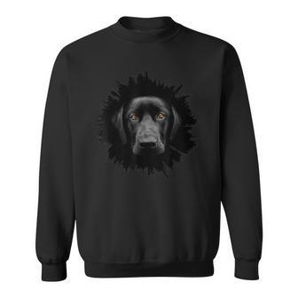 Schwarzes Sweatshirt mit 3D-Hundegesicht-Druck, Modisches Haustier-Motiv - Seseable
