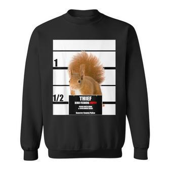 Squirrel Bird Feeder Thief Empty Feeder Gag Sweatshirt - Monsterry UK