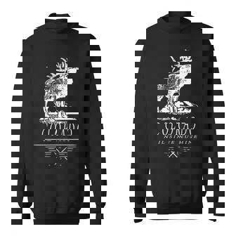 State Of Colorado Souvenir Elk Mountains Sweatshirt | Mazezy