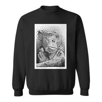 Stoned Ape Theory Sweatshirt - Monsterry