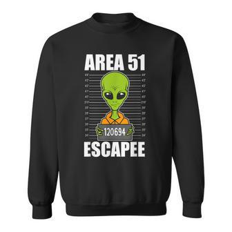 Storm Area 51 Alien Escapee From Area 51 Alien Hot Sweatshirt - Seseable