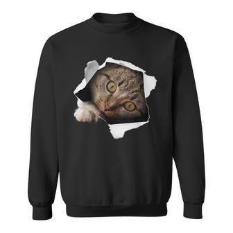 Stunning Tabby Cat Torn Cloth Cat Lovers Kitten Sweatshirt - Monsterry