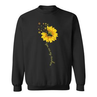 You Are My Sunshine Half Sunflower Dachshund Dog Sweatshirt | Mazezy
