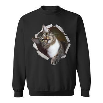 Sweet Kitten Torn Cloth Unique & Cool Cat Lover Sweatshirt - Monsterry