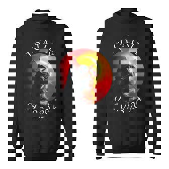 Total Solar-Eclipse 2024 Totally 04 08 2024 Cat Eclipse Sweatshirt - Thegiftio