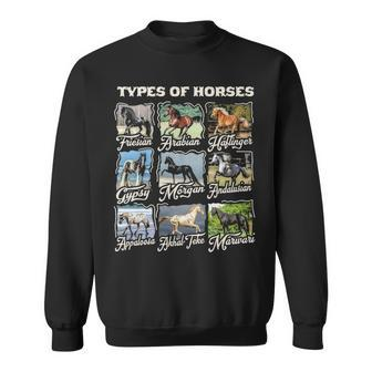 Types Of Horses Lover Cute Riding Girl Boyn Horse Sweatshirt | Mazezy CA