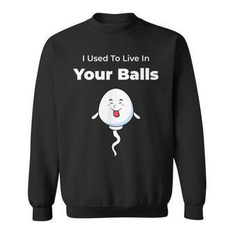 I Used To Live In Your Balls Silly Father's Day Sweatshirt - Monsterry
