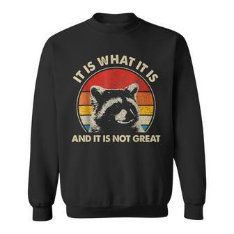 Vintage Racoon It Is What It Is And It Is Not Great Sweatshirt - Monsterry UK