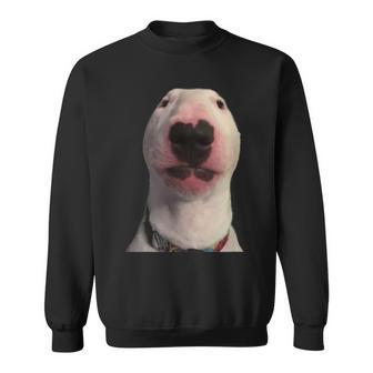 Walter Dog Meme Sweatshirt - Seseable