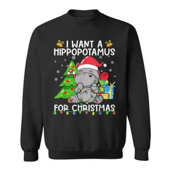 I Want A Hippopotamus For Christmas Santa Lights Hippo Xmas Sweatshirt - Seseable