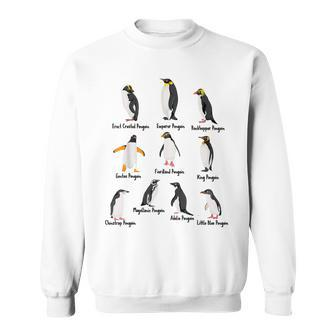 10 Types Of Penguins Birds Lover Cute Penguin Sweatshirt - Thegiftio UK