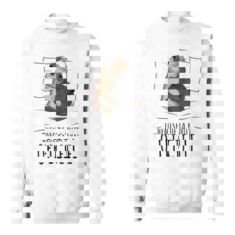 Carlin Chemise De Nuit Officielle Pyjama Chien Sweater e - Cadeauxyz