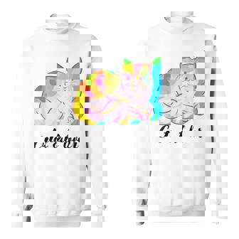 Cute Colorful Cat Lover Cute Cat Kitten Lover Sweatshirt - Thegiftio UK
