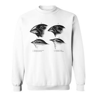 Darwin's Finches Evolución Biología Atea Nerdy Science Camisa de entrenamiento - Regaloses