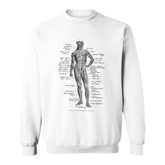 Human Muscle Anatomy Idea Sweatshirt - Monsterry