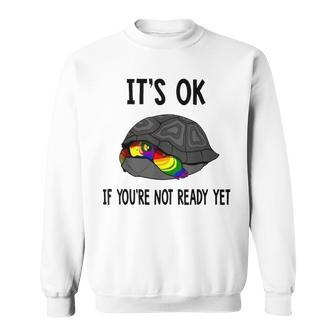 It's Ok If You're Not Ready Yet Turtle Lgbt Pride Sweatshirt - Monsterry DE