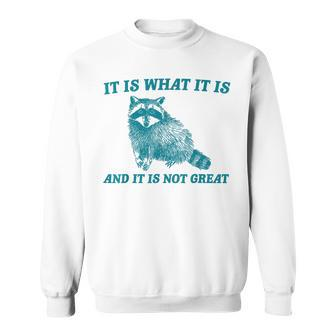 It Is What It Is And It Is Not Great Raccoon Sweatshirt - Monsterry DE