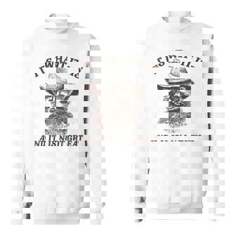 It Is What It Is And It Is Not Great Raccoon Sweatshirt - Seseable