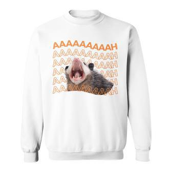 Opossum Screaming Possum Trash Cat Meme Women Sweatshirt - Monsterry UK