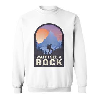 Wait I See A Rock Geology Geologist Sweatshirt - Monsterry
