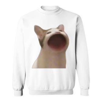 Wide Mouth Cat Meme Popping Cat Meme Singing Cat Meme Sweatshirt - Monsterry DE