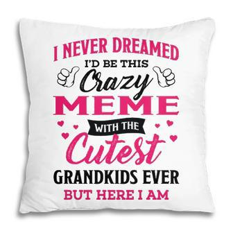Meme Grandma Gift I Never Dreamed I’D Be This Crazy Meme Pillow - Seseable