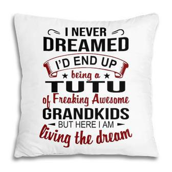 Tutu Grandma Gift Tutu Of Freaking Awesome Grandkids Pillow - Seseable