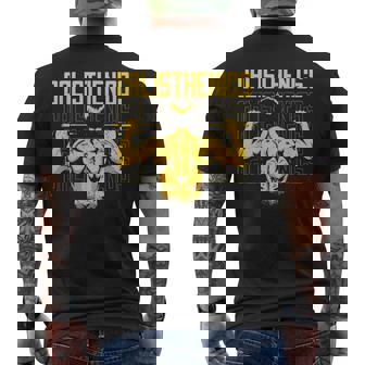 Calistenia Entrenamiento Fitness Peso Corporal Calistenia Camiseta Hombre Estampado Espalda - Regaloses