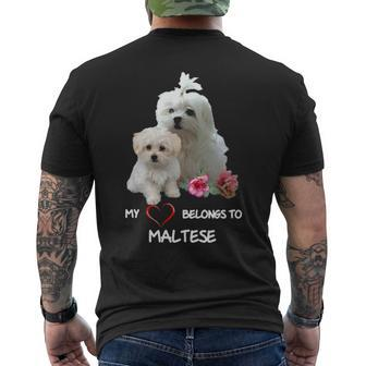 Maltese Dog Heart Belongs Maltese Puppy Men's T-shirt Back Print | Mazezy