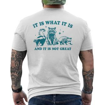 It Is What It Is And It Is Not Great Raccoon Trash Panda Men's T-shirt Back Print - Seseable