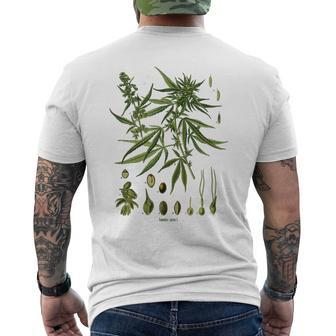 Vintage Cannabis Botanical Chart Antique Hemp Marijuana Weed Men's T-shirt Back Print - Monsterry CA