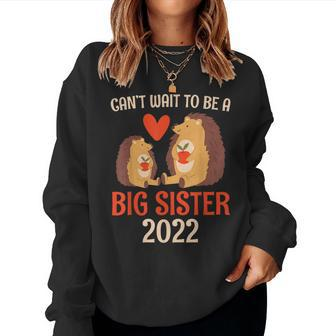Can't Expect To Become Big Sister Hedgehog Women Sweatshirt - Monsterry